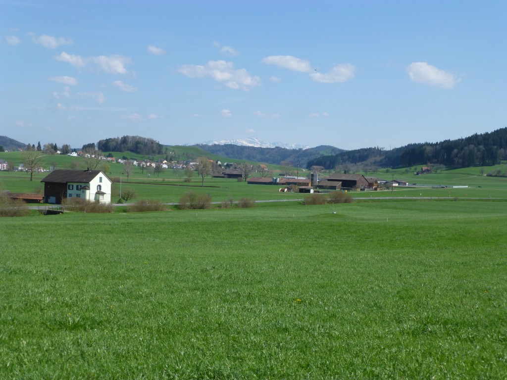 A view with the Alps in the background from a walking path nearby our flat.