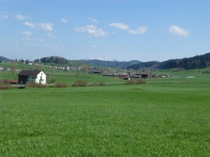 Spring on a Swiss Farm