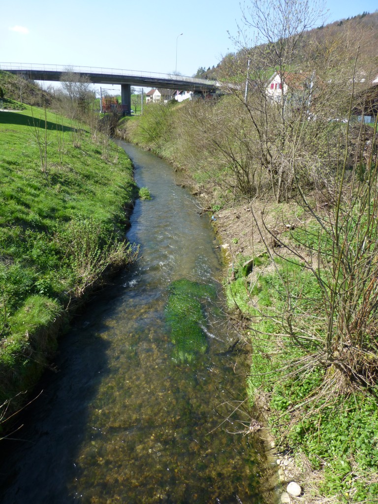 Spring on the Swiss Farm