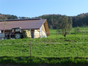 Life on the Swiss Farm