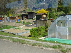 Spring on the Swiss Farm