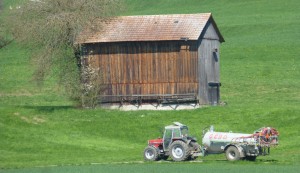 Spring on the Swiss Farm