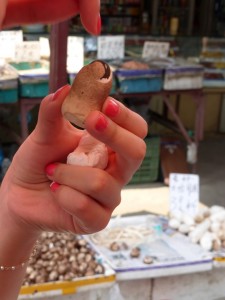 Jumping frogs and squirming eels: Shopping in a Chinese wet market