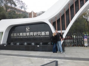 In black and white: Visiting the Chengdu Panda Reserve