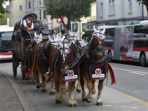 Beer arrives from famous Swiss brewery Feldschlösschen.