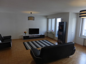 The incredibly-difficult-to-put-together sofas with a couple of our purchased-and-installed light fixtures in our living room. Since we can't paint the walls here, we've gone with a classic black-and-white theme.  